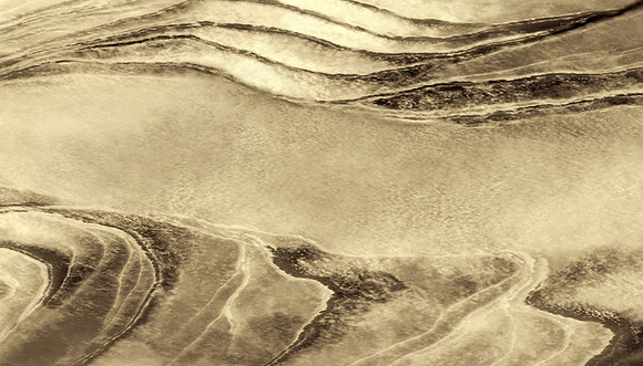 사막의 평화 (Peace of Desert)