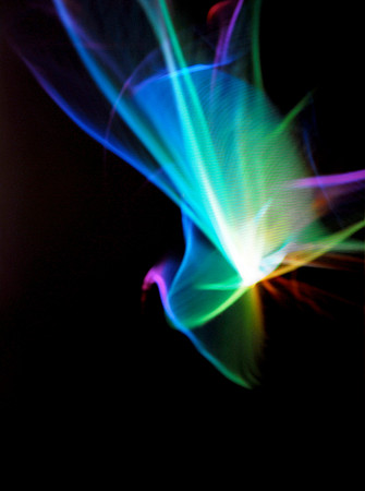 무지개 새 (Rainbow Bird)