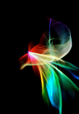 무지개 꽃 (Rainbow Flower)