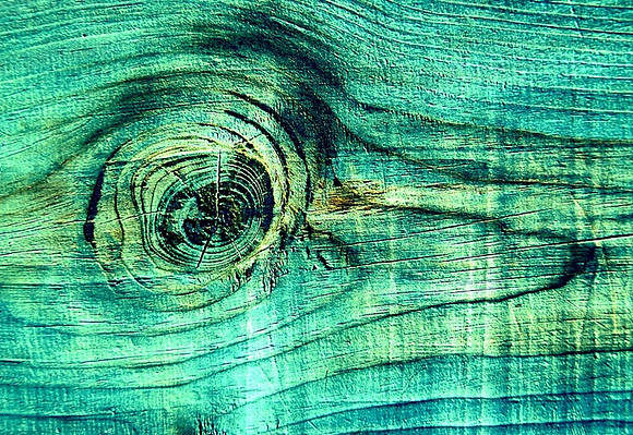 타조 (An Ostrich's Eye)
